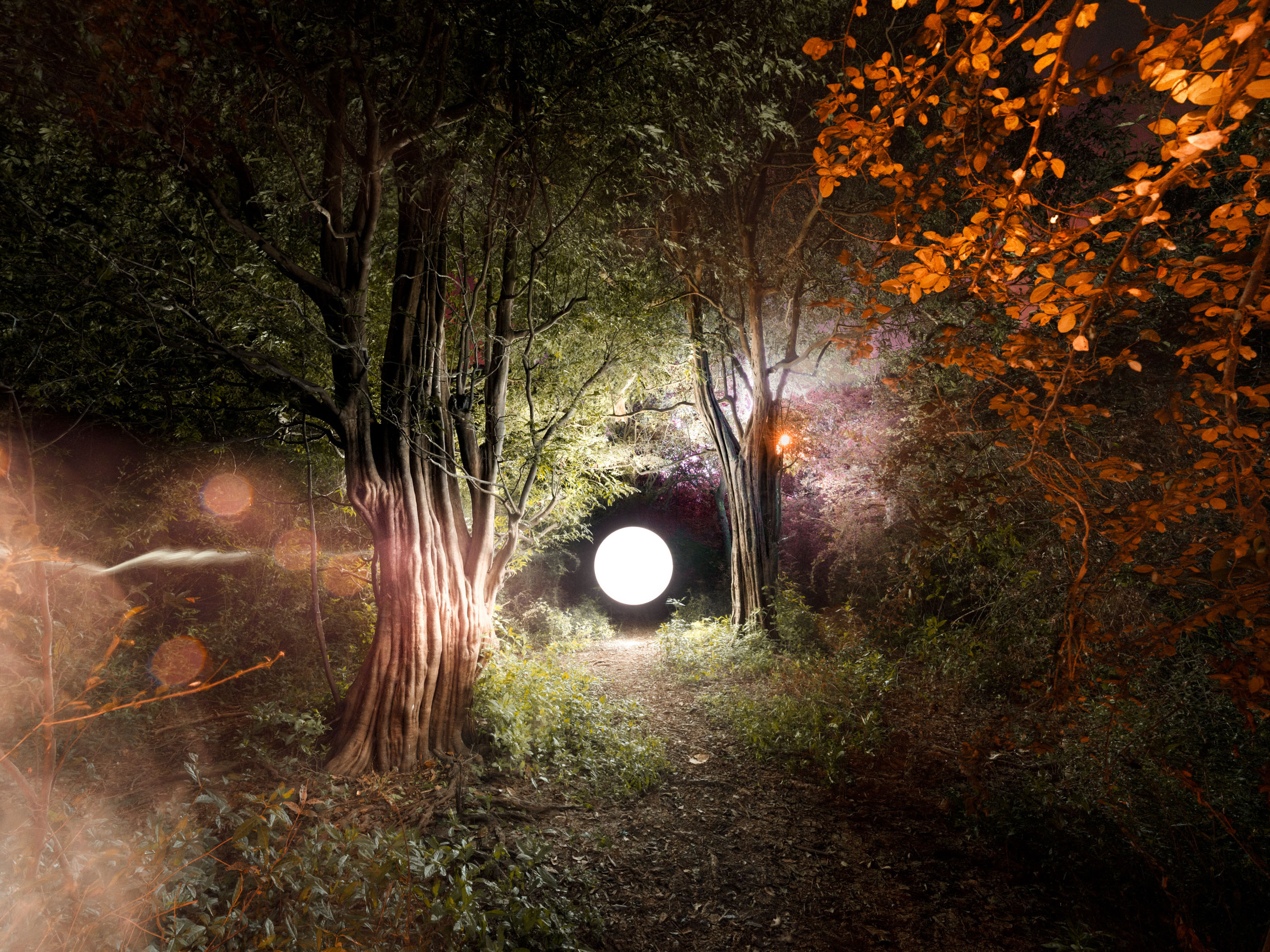 A glowing white orb lights up a dark forest path lined with green and orange-leaved trees at night, creating a captivating scene for nighttime landscape photography.