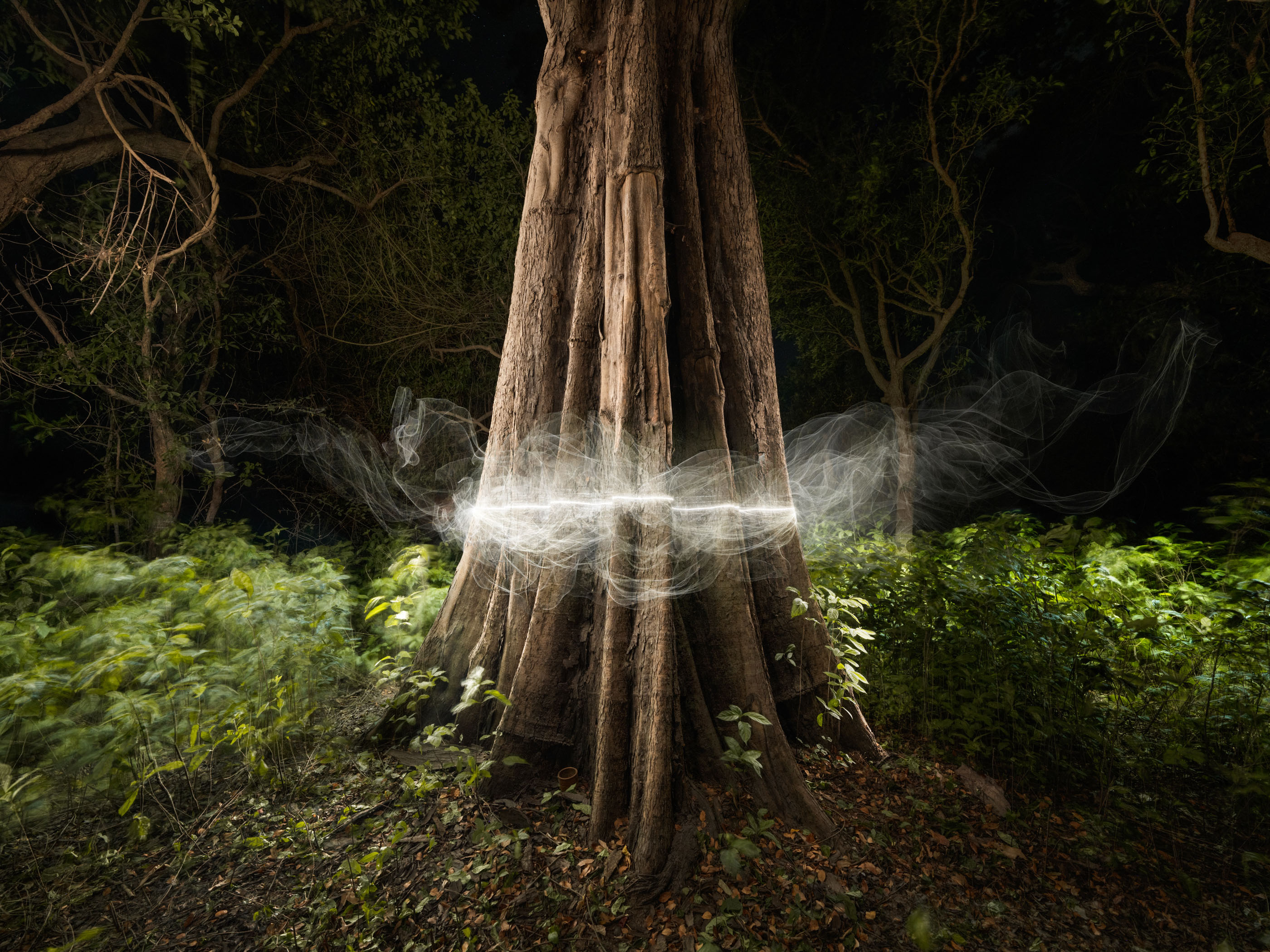A large tree trunk in a forest at night with glowing white light swirling around it, capturing the magic of drone light art in this striking nighttime landscape photography.
