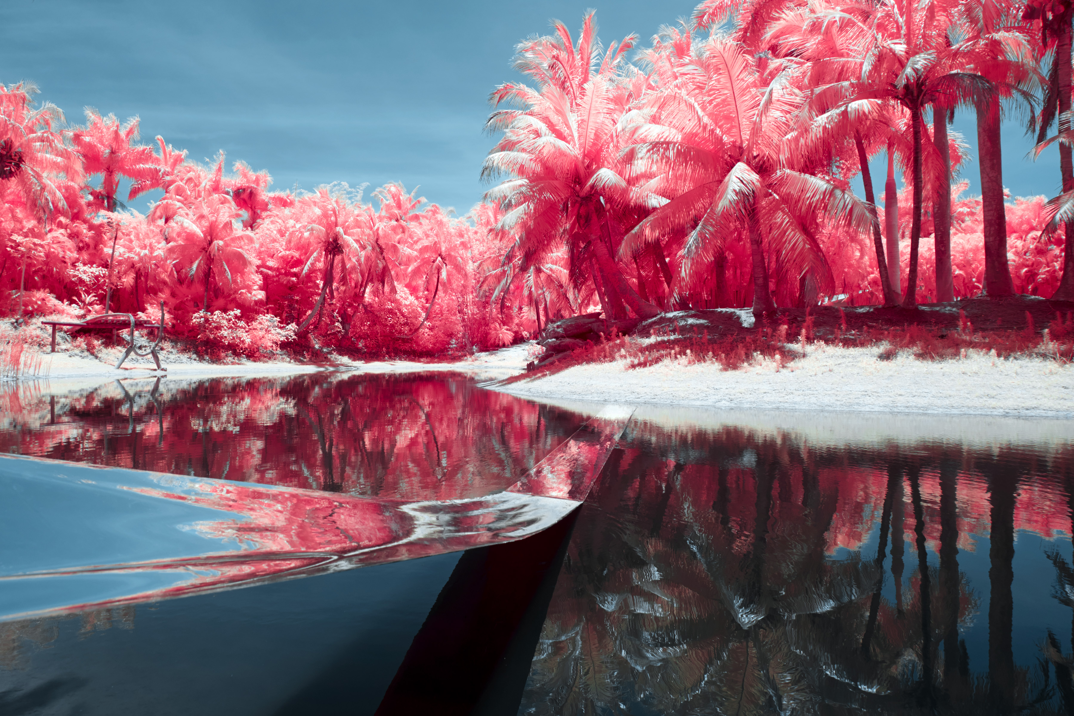A river with pink palm trees reflected in the water, captured with infrared photography, creates a futuristic scene reminiscent of a fine artist’s vision.