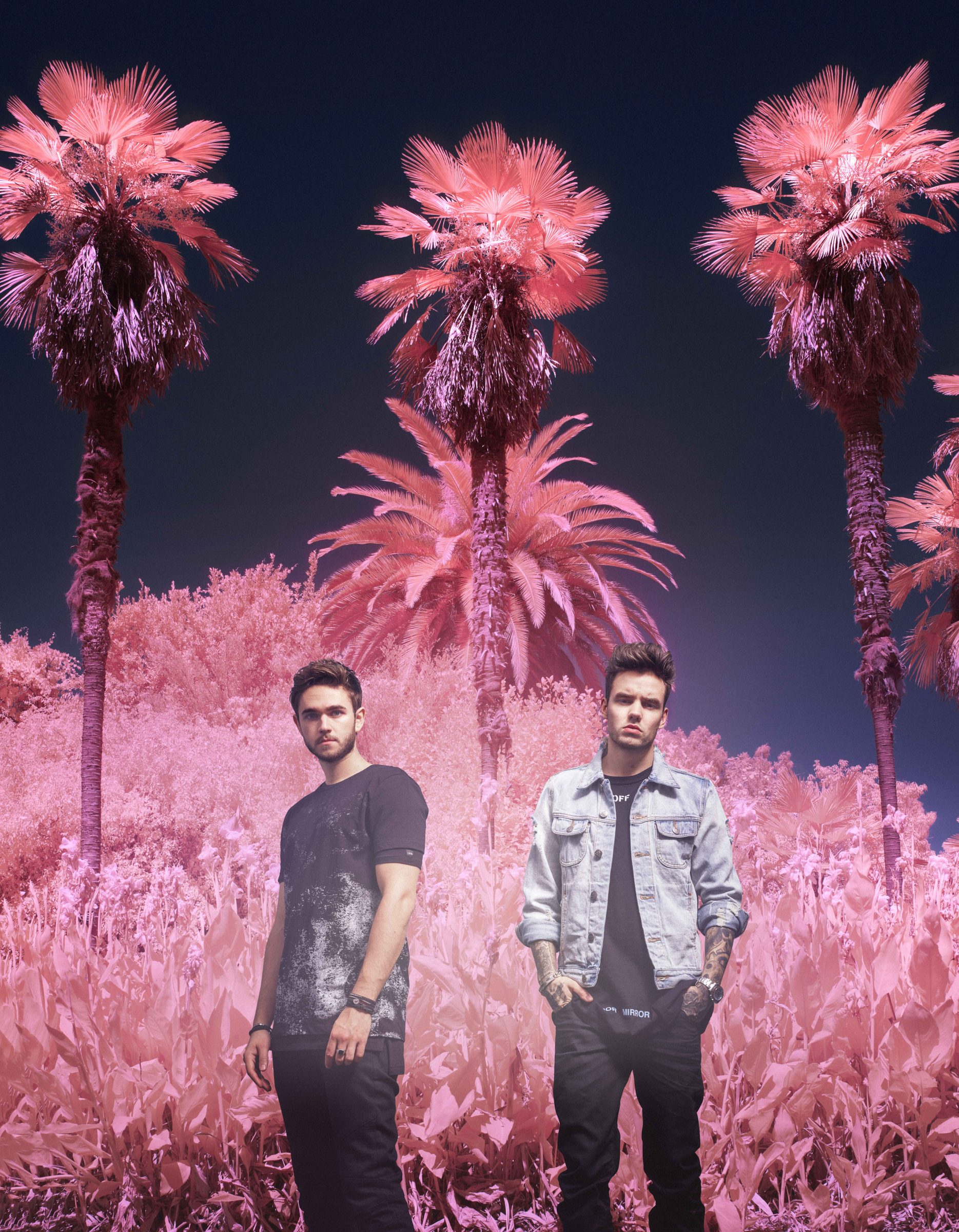 Two young men stand in front of tall pink palm trees and foliage under a dark sky, illuminated by sweeping patterns of drone light painting for a futuristic effect.