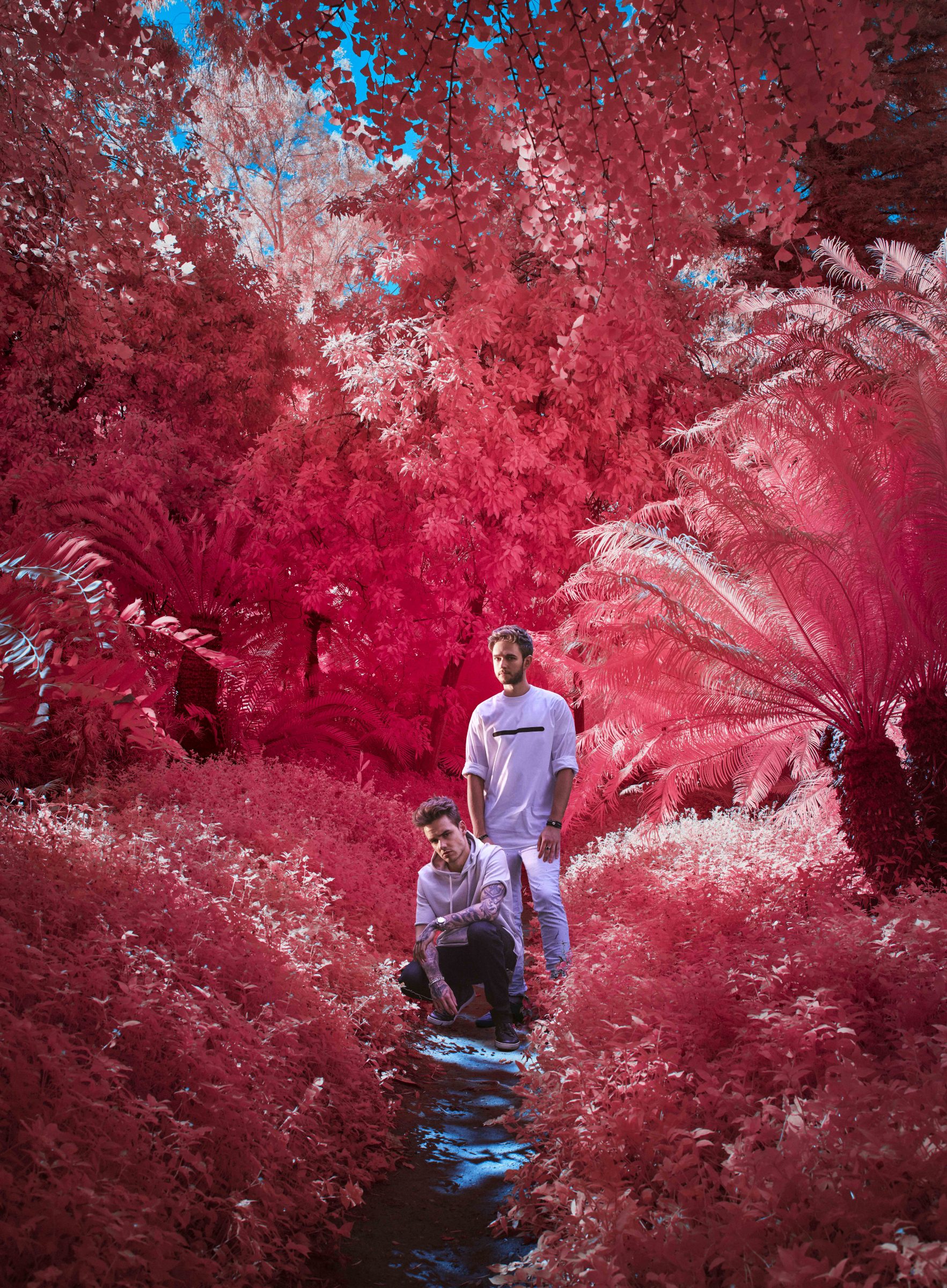Two men pose on a path in a surreal garden with vibrant pink foliage and lush tropical plants, as a photographer explores the scene for stunning nighttime landscape photography.