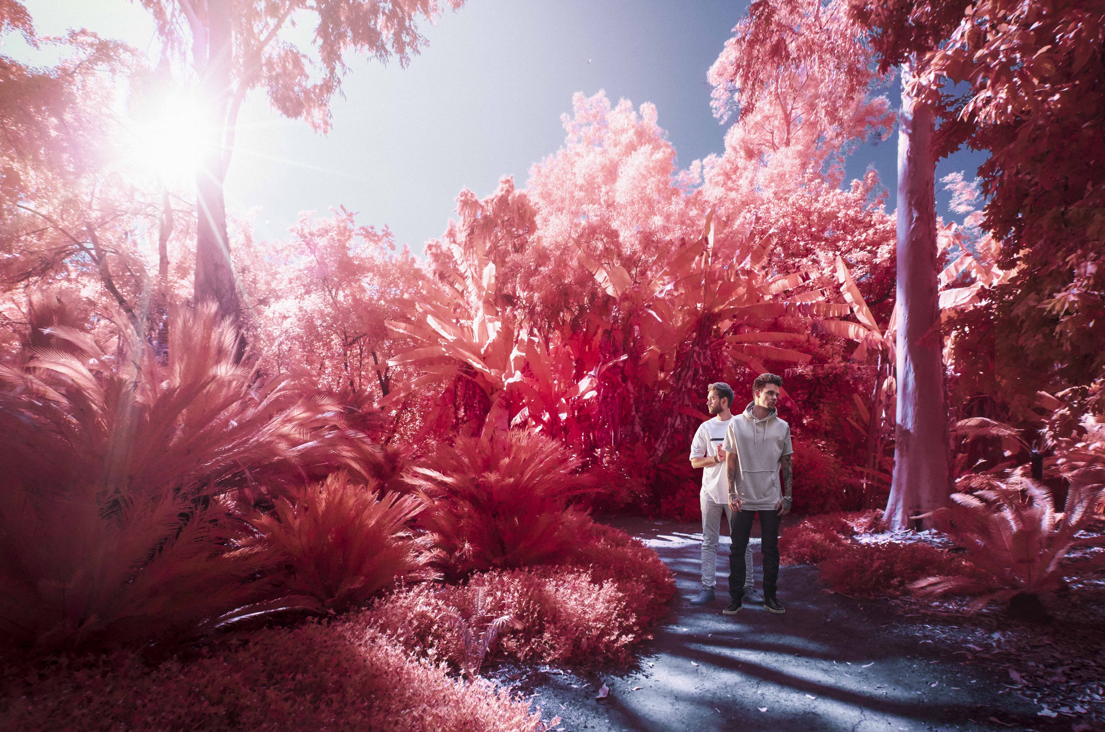 Two people stand on a path surrounded by tropical plants, bathed in pink, surreal lighting reminiscent of drone light art, with bright sunlight filtering through.
