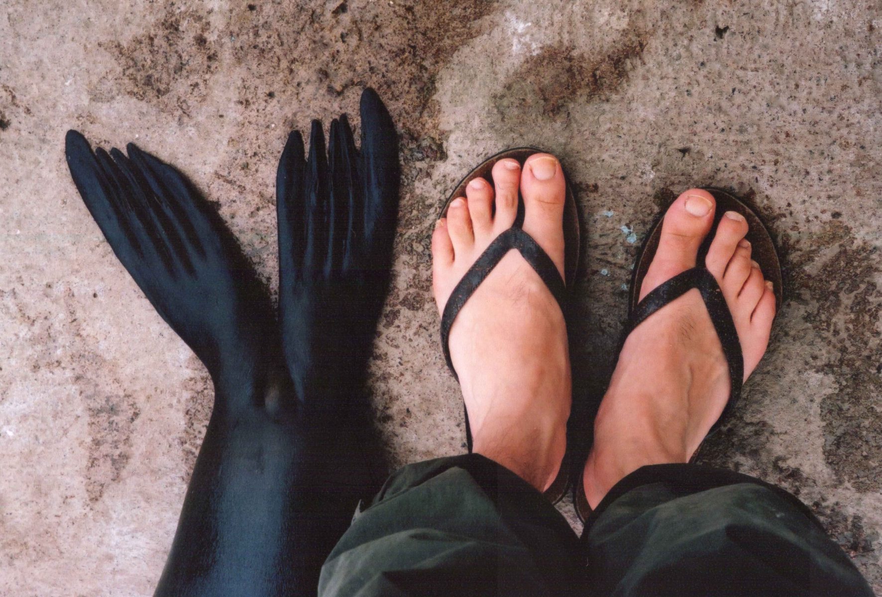 A pair of human feet in sandals next to black seal flippers on concrete—an image reminiscent of a fine artist’s study in contrasts and form.