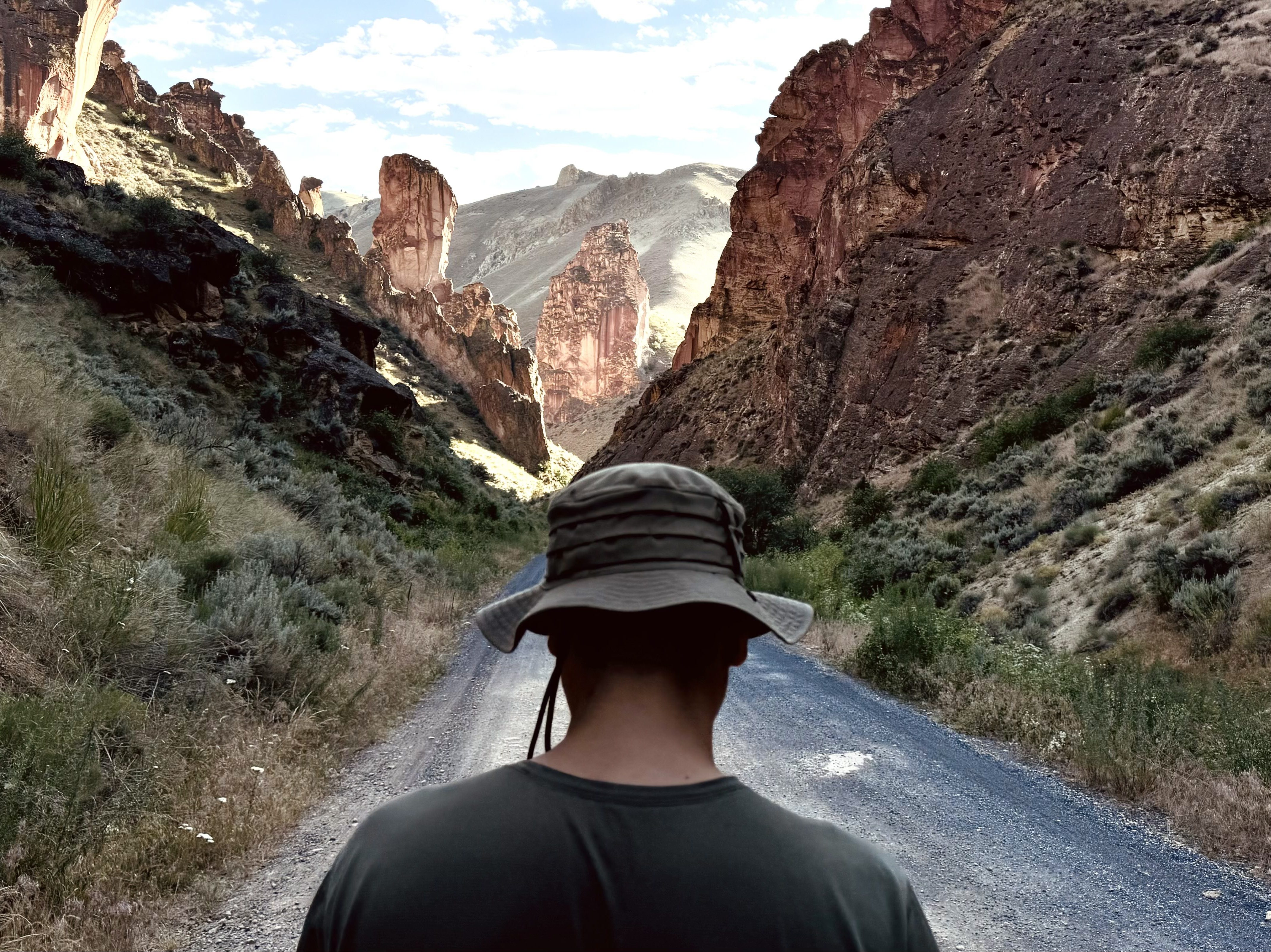 A person wearing a hat stands on a dirt road, facing a rocky canyon with tall rock formations and greenery under a bright sky.