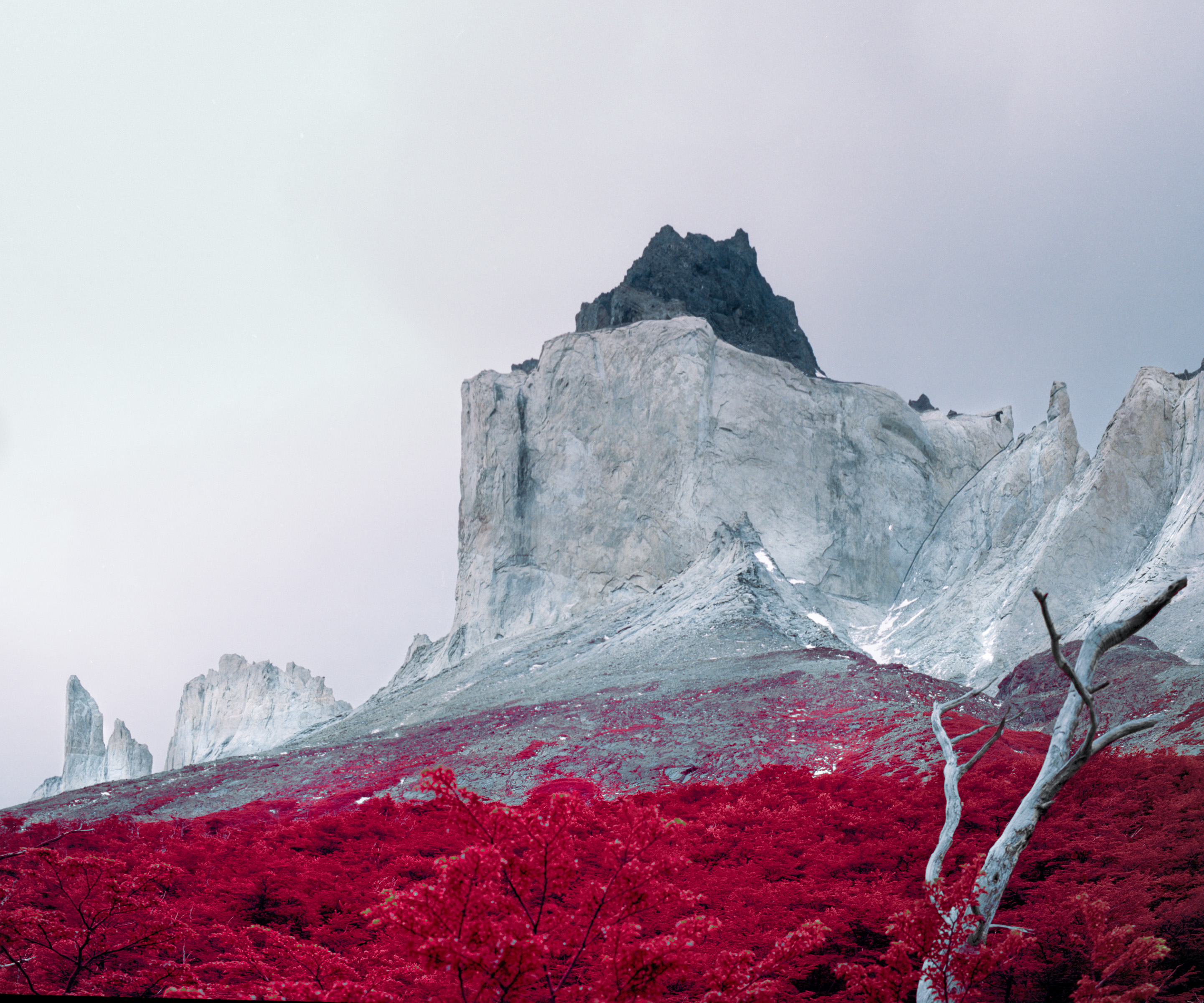 Rocky mountain peak under a cloudy sky with bright red foliage and a bare tree in the foreground, captured by a photographer inspired by futuristic nighttime landscape photography.