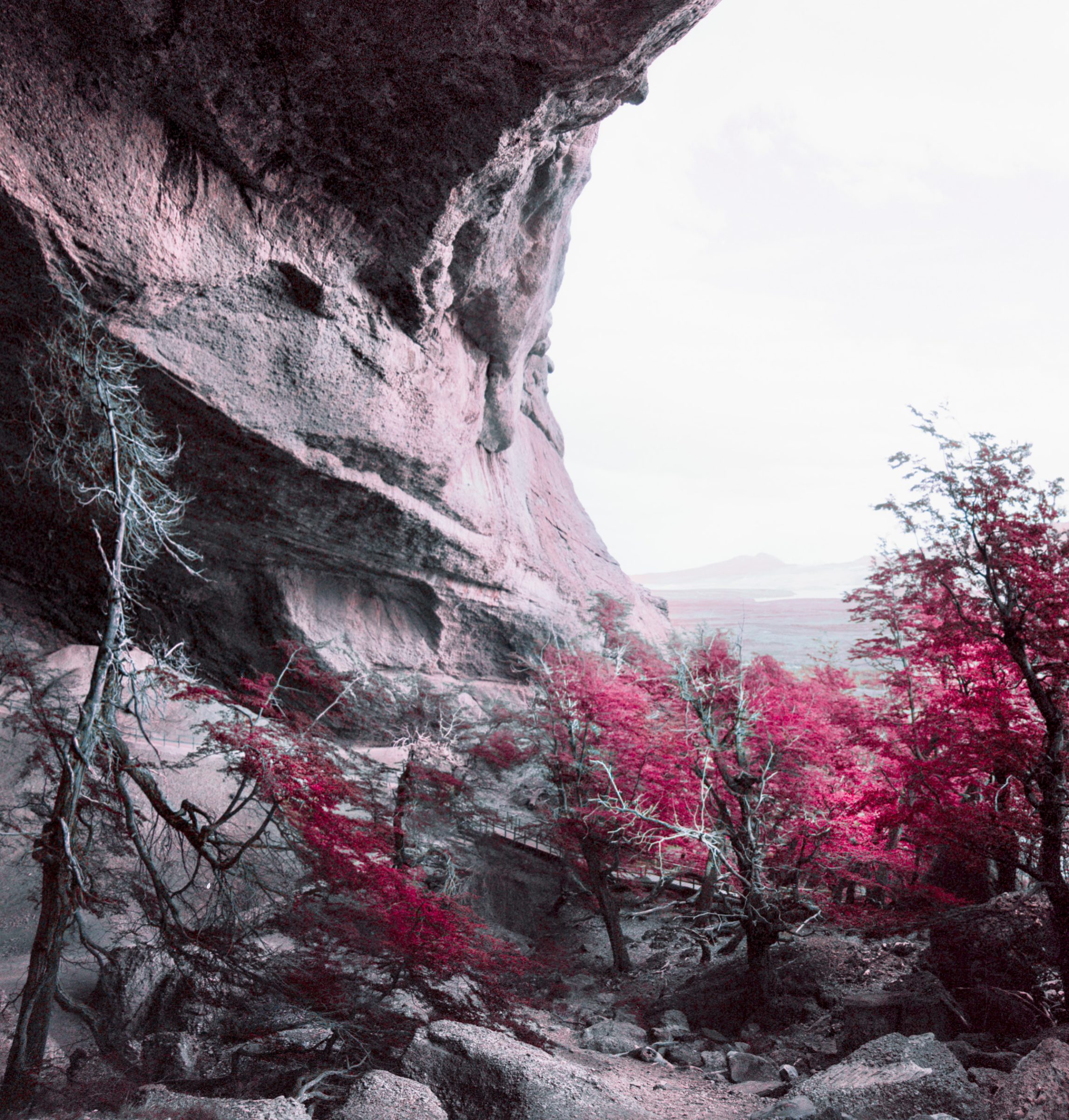 A rocky cave with pink-leaved trees and a distant mountainous landscape under a bright sky, captured by a photographer exploring drone light art in this stunning, futuristic scene.