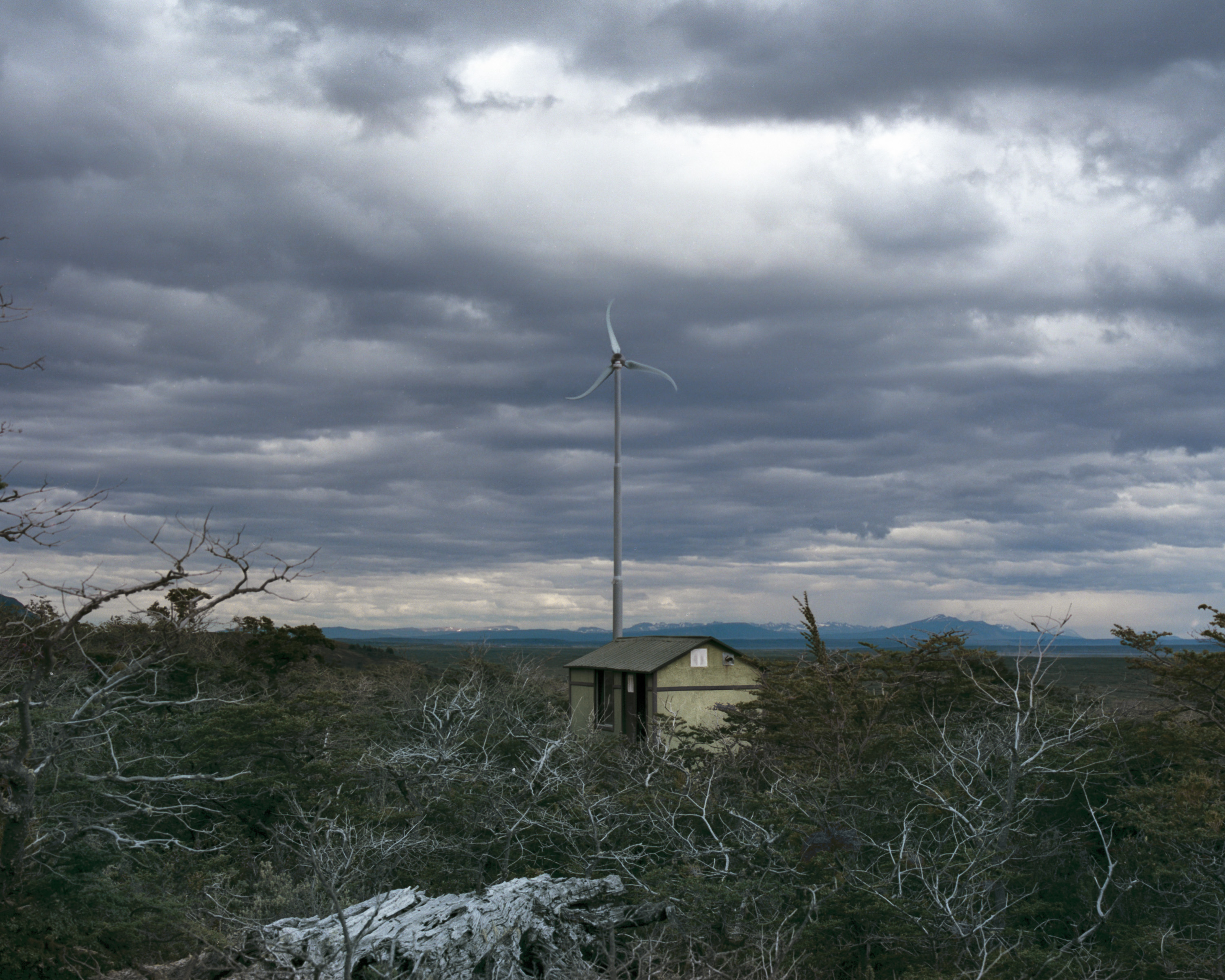 A wind turbine stands next to a small house amid dense trees under a cloudy, overcast sky, evoking the feel of futuristic nighttime landscape photography.