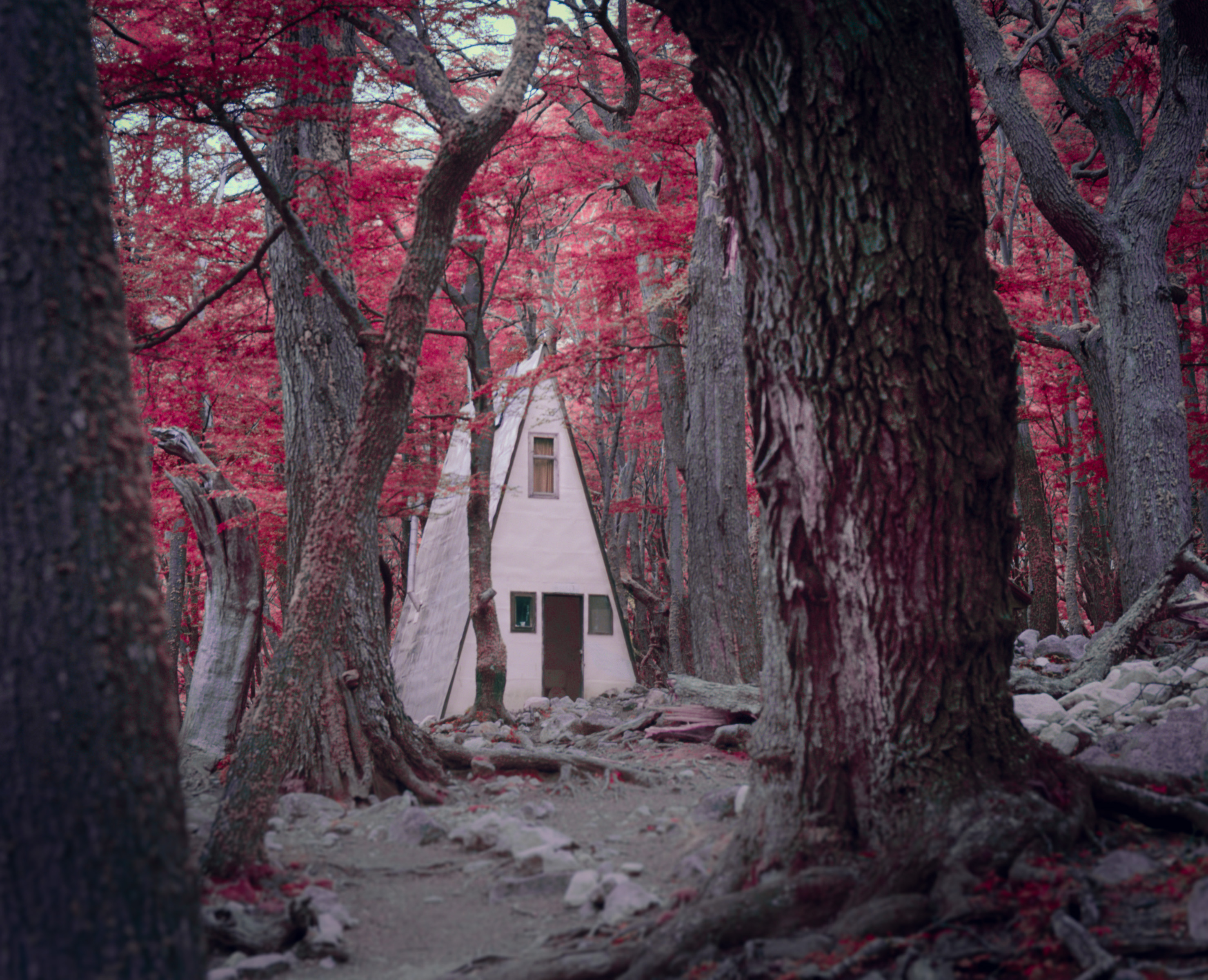 A white A-frame house stands among large trees with red leaves in a forest, captured by a fine artist whose perspective adds depth and emotion to the serene scene.