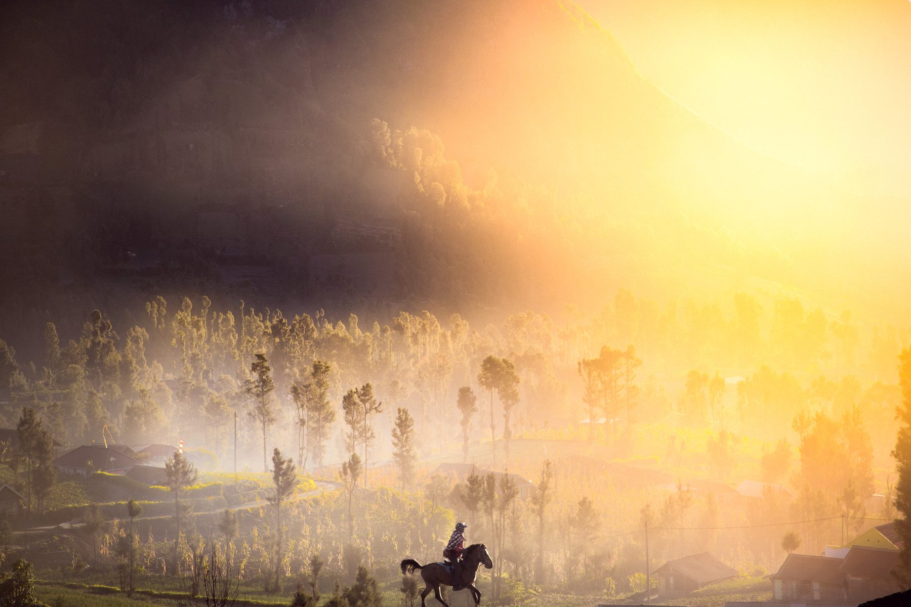 A photographer captures a person riding a horse through a misty, sunlit landscape with trees and hills at sunrise, as ethereal patterns from drone light painting illuminate the dawn.