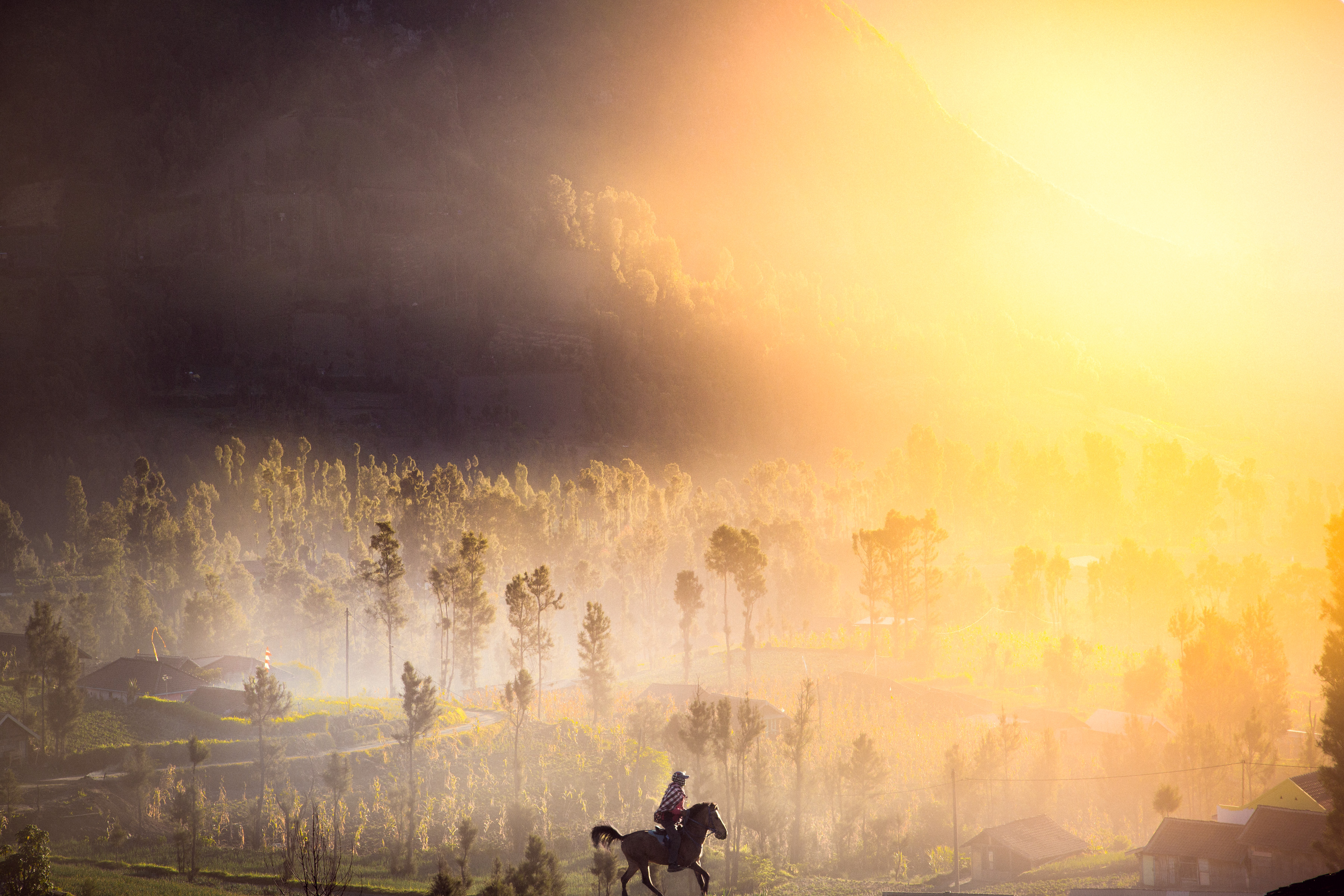 A photographer captures a person riding a horse through a misty, sunlit landscape with trees and hills at sunrise, as ethereal patterns from drone light painting illuminate the dawn.