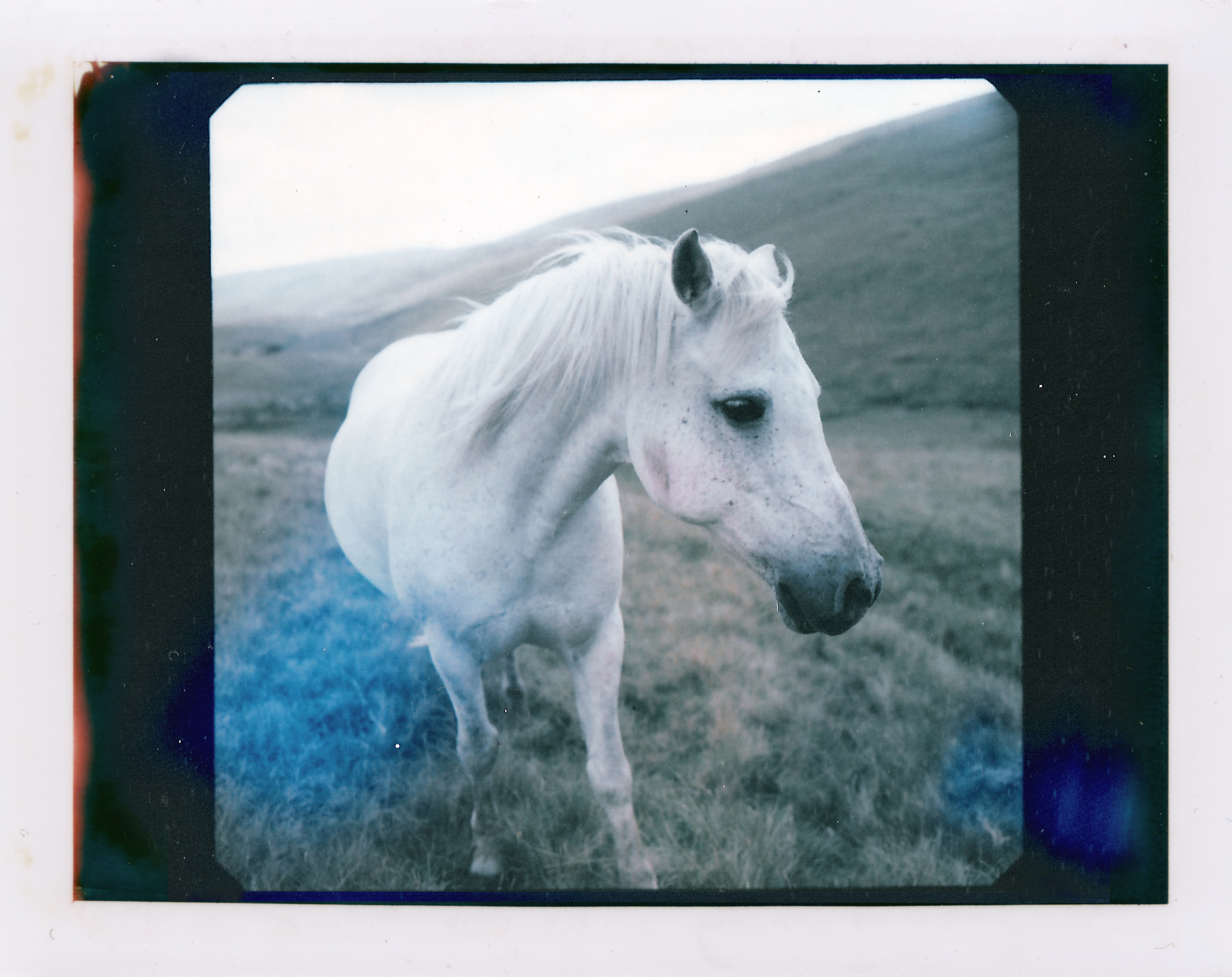 A white horse stands on grassy terrain with hills in the background under a cloudy sky, as glowing trails from drone light painting add a futuristic touch to the scene.