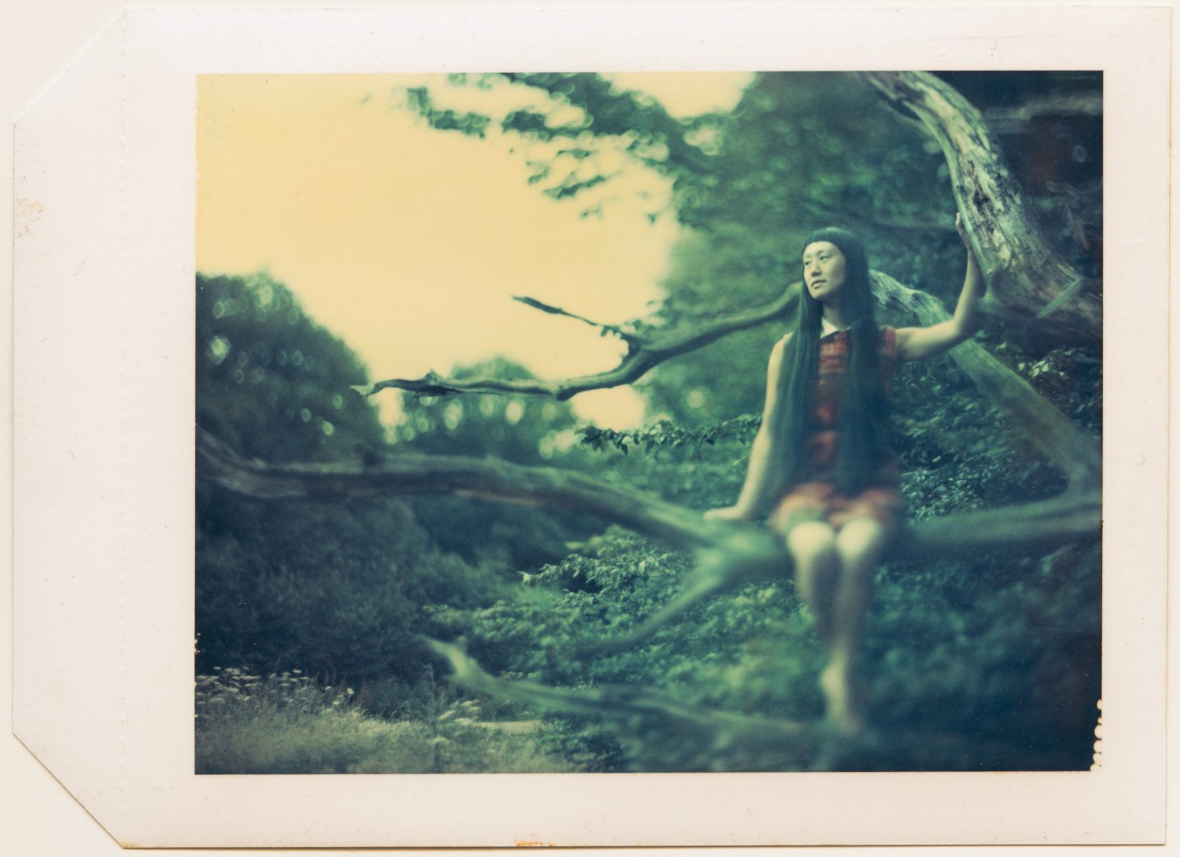 A woman in a red dress sits barefoot on a tree branch in a blurry, outdoor setting, captured as if framed by the creative eye of a fine artist.